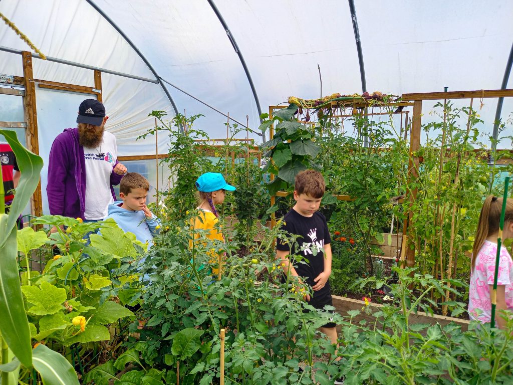 Five children and an adult examine tall green plants inside a greenhouse with wooden frames.