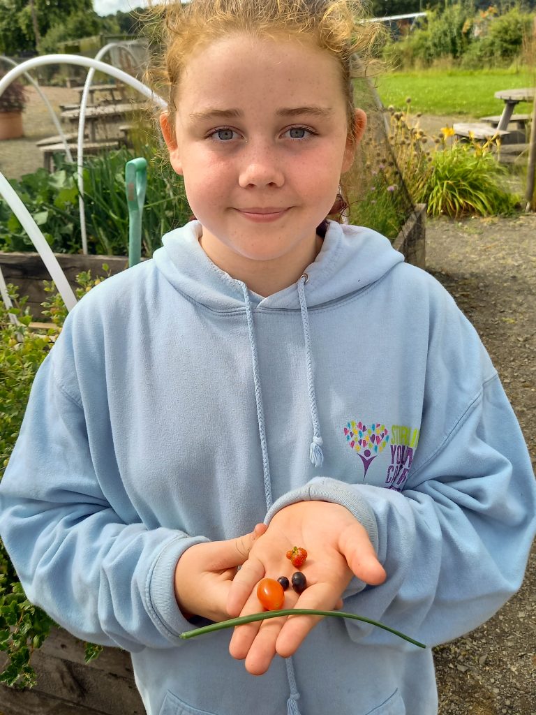 Girl in a light blue hoodie holding small tomatoes and berries in her palm, standing in a garden.