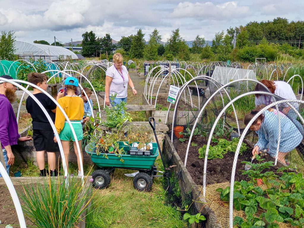 A diverse group of adults and children work together planting and watering vegetables in a lush outdoor community garden under bright sunlight.