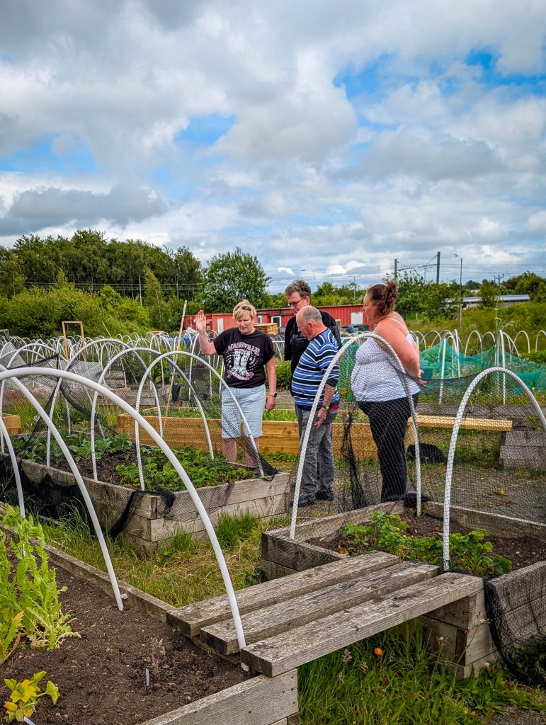 Four people stand talking and looking at plants in a community vegetable garden with netted raised beds.