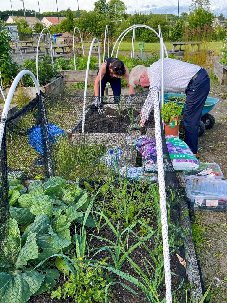Two people work together in a raised garden bed outside, with various plants and gardening tools around them.