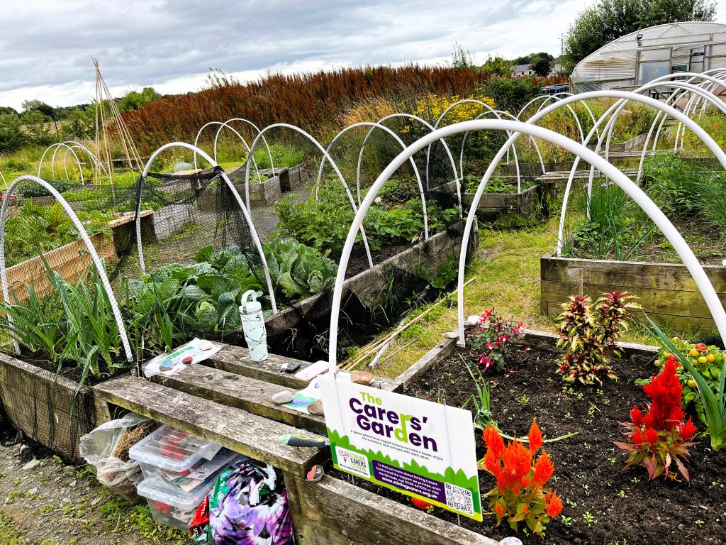 Raised garden beds filled with leafy plants and flowers, white support hoops, and a Carers' Garden sign visible at the front.