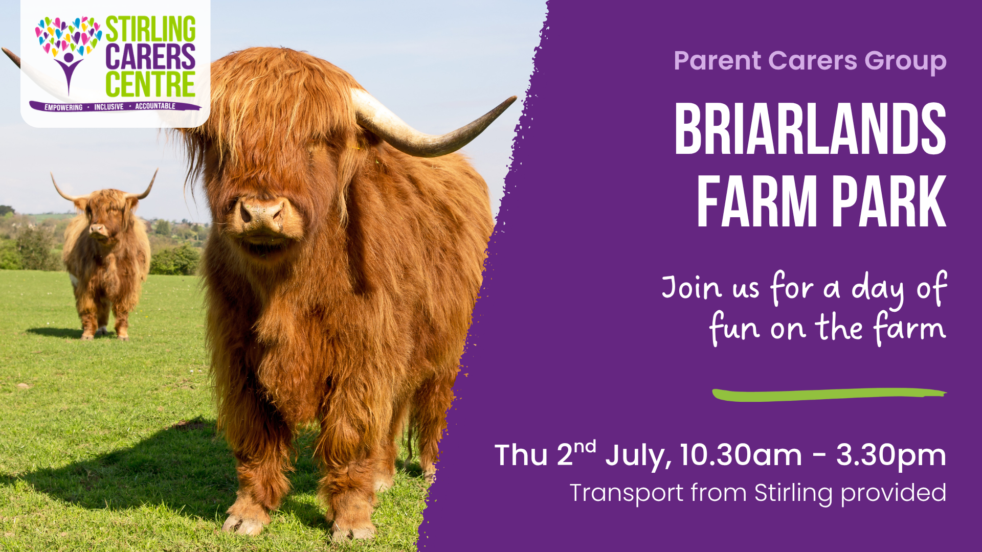 Two Highland cows in a grassy field with Briarlands Farm Park event details displayed on a purple background.